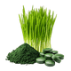 Greens Blend