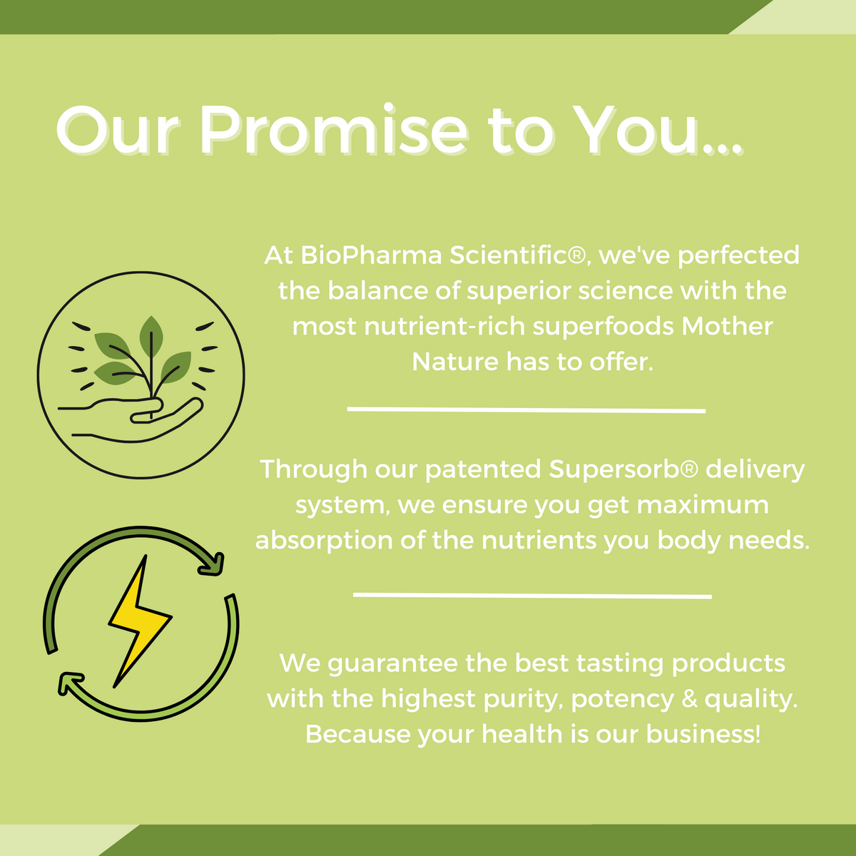 nanolean: natural berry biopharmasci